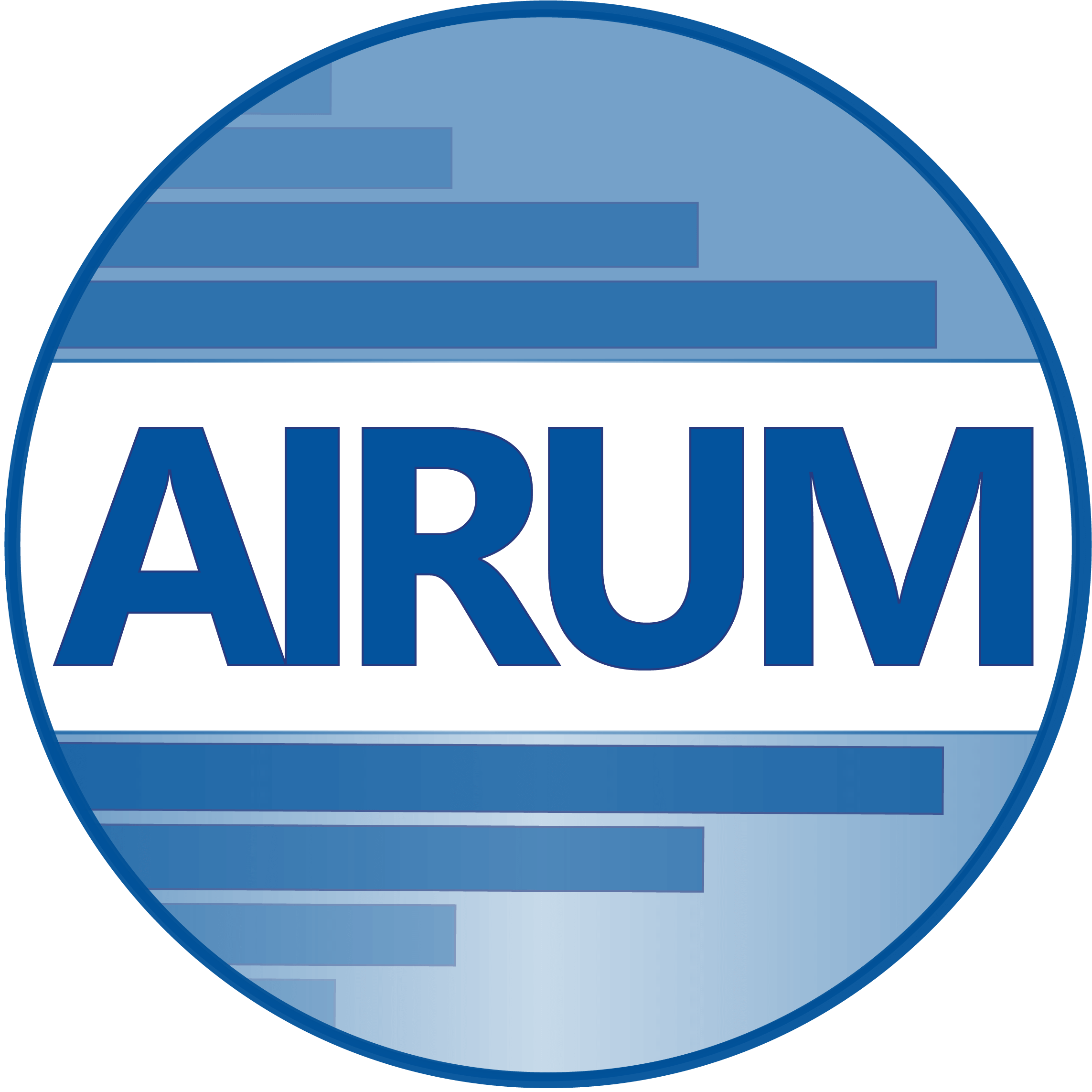 2025 Annual AIRUM Conference logo